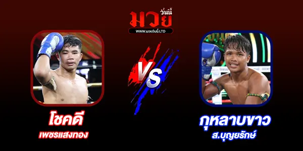 โปรแกรมมวยวันนี้