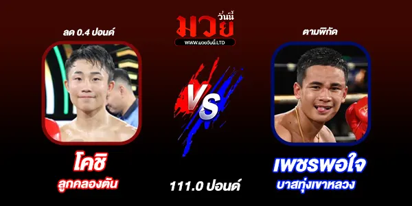 โปรแกรมมววันนี้