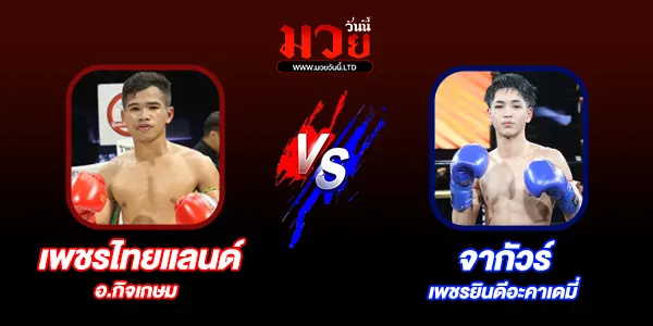 มวยวันนี้