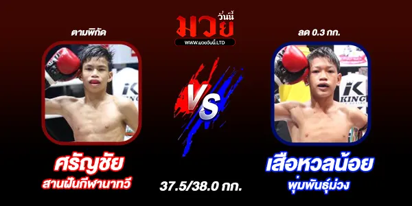 ผลมวย