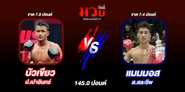 มวยวันนี้