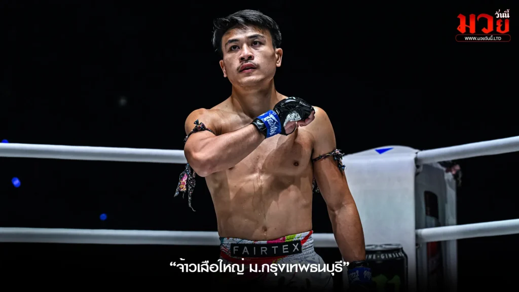 จ้าวเสือใหญ่ ขอรีแมตช์ อาคีฟ