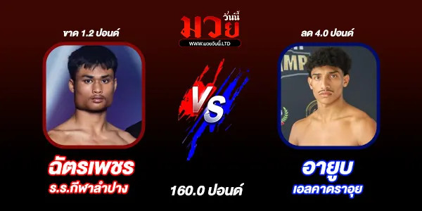 ผลมวย