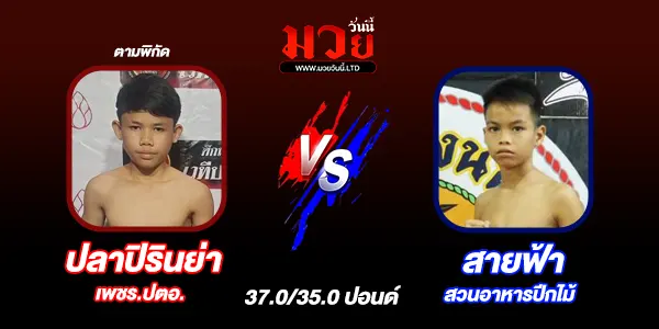 โปรแกรมมวยวันนี้