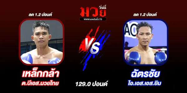 มวยวันนี้