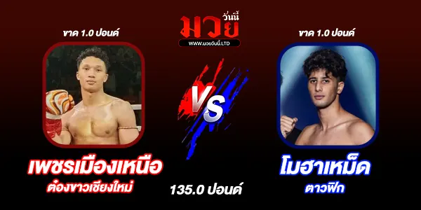 มวยวันนี้