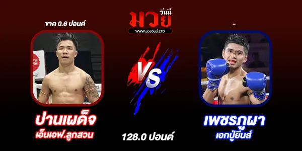 โปรแกรมมวยวันนี้