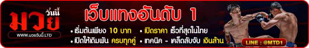มวยวันนี้