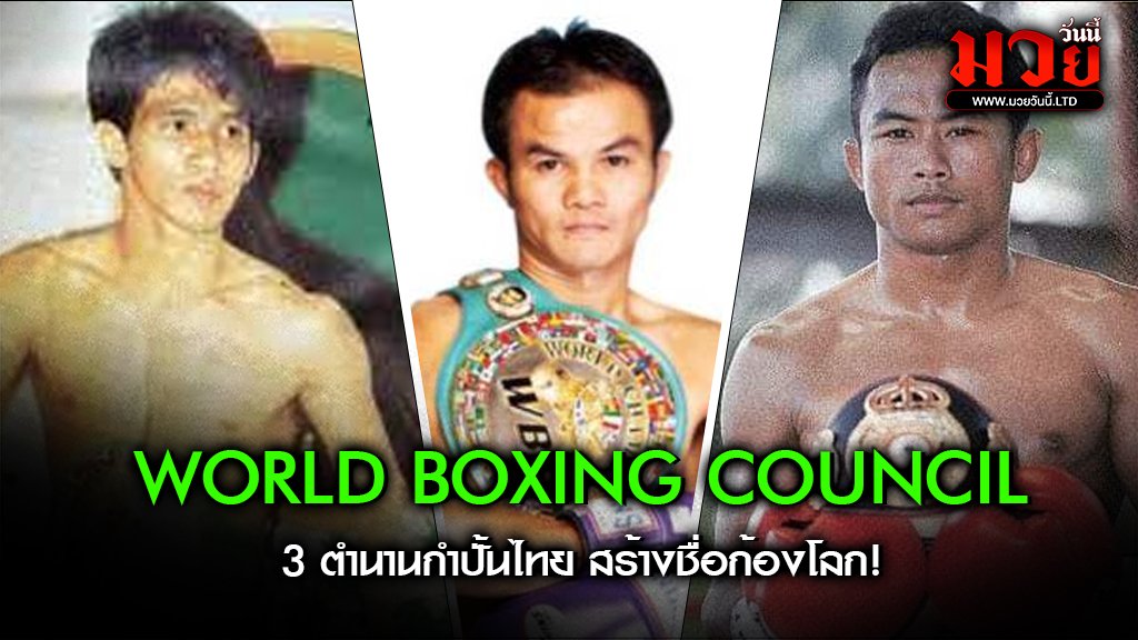 World Boxing Council