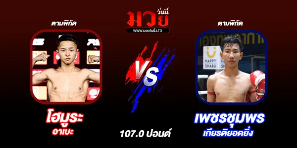 มวยวันนี้