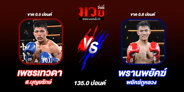 มวยวันนี้