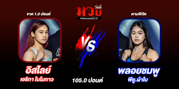 โปรแกรมมวยวันนี้