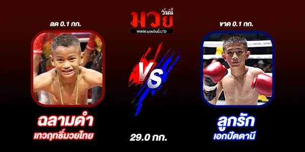 มวยวันนี้