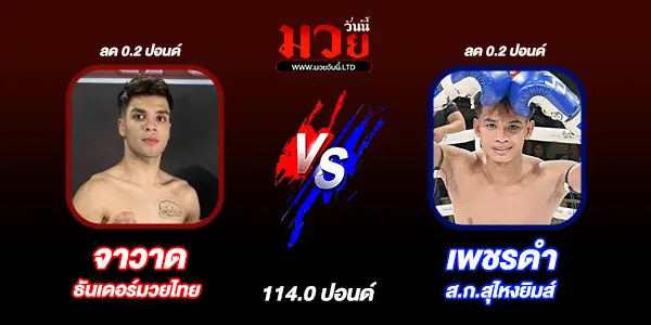 มวยวันนี้