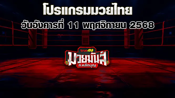 โปรแกรมมวยไทย วันอังคารที่ 11 พฤศจิกายน 2568