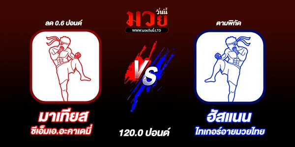 มวยวันนี้