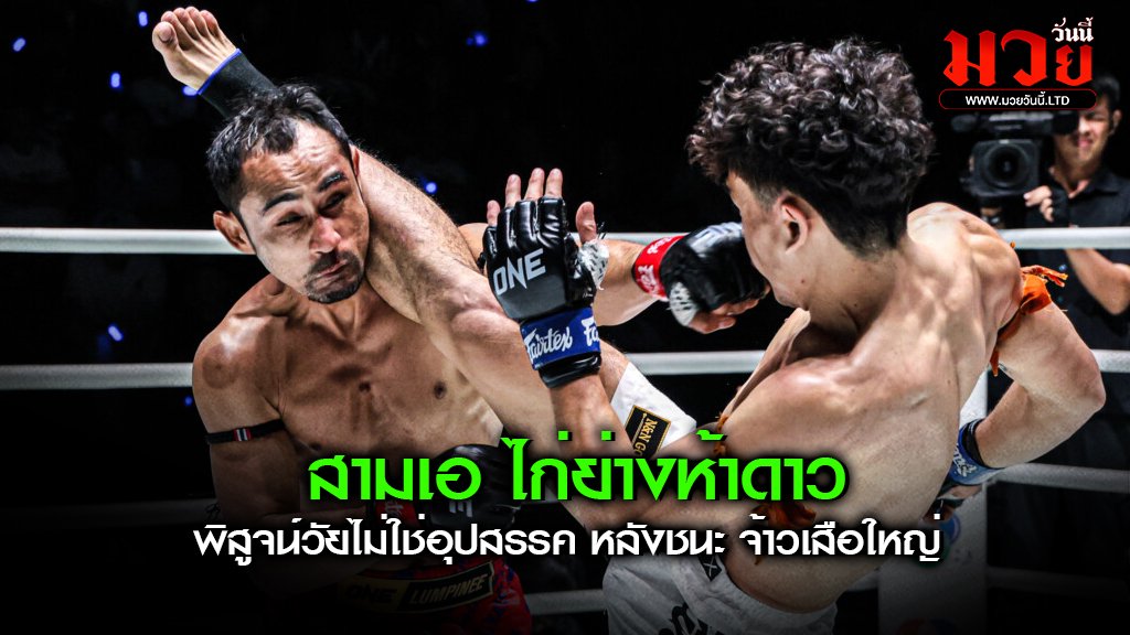 สามเอ ไก่ย่างห้าดาว