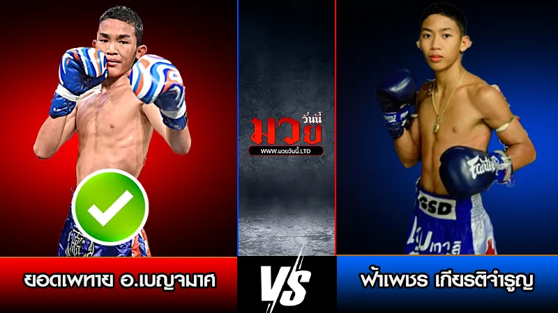 ทีเด็ดมวย ประจำวันเสาร์ที่ 24 มกราคม 2569