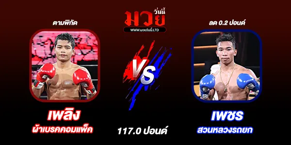 มวยวันนี้