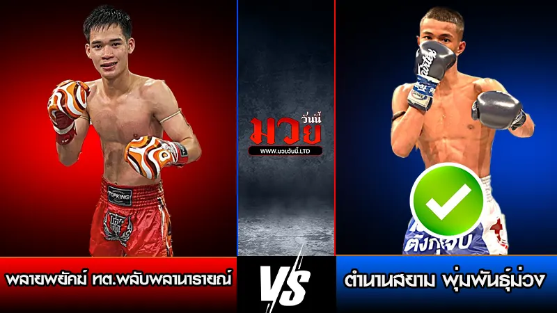 ทีเด็ดมวย