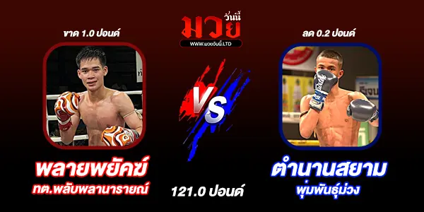 มวยวันนี้