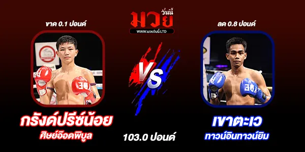 โปรแกรมมวยวันนี้