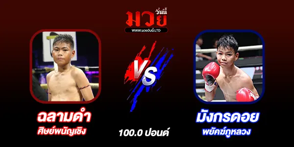 มวยวันนี้