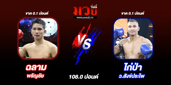 โปรแกรมมวยวันนี้