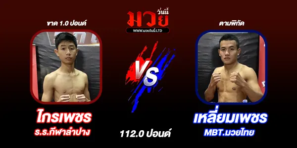 โปรแกรมมววันนี้ย