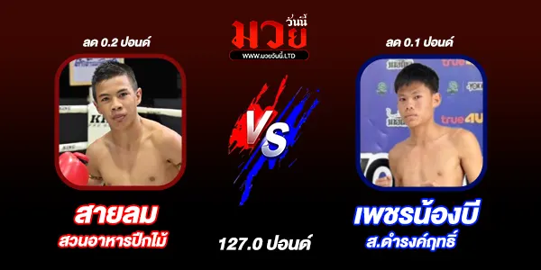 มวยวันนี้