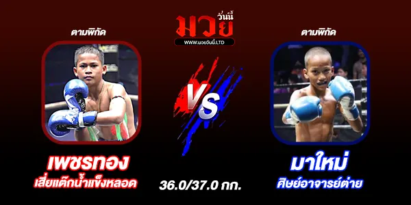 มวยวันนี้