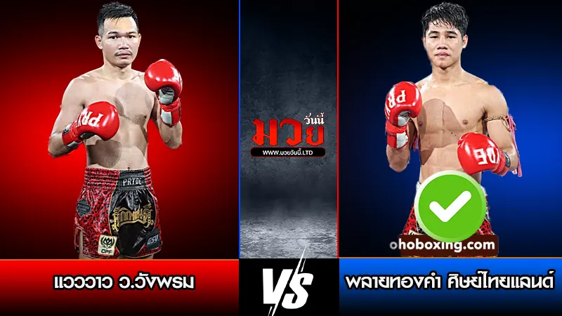 ทีเด็ดมวย