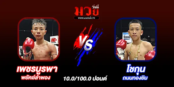 มวยวันนี้