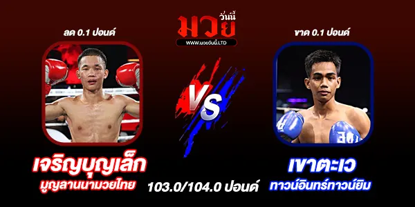 มวยวันนี้