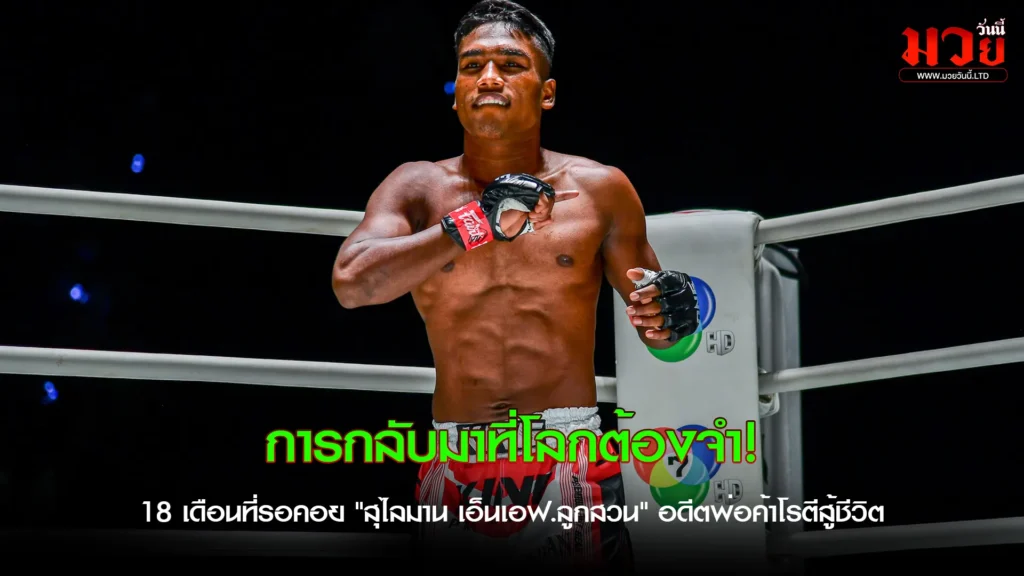 “สุไลมาน เอ็นเอฟ.ลูกสวน”