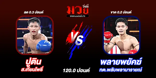 มวยวันนี้