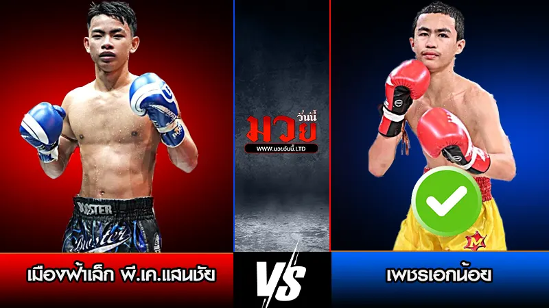 ทีเด็โมวย