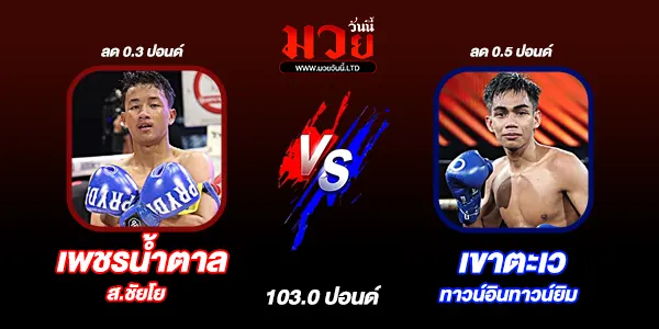 มวยวันนี้