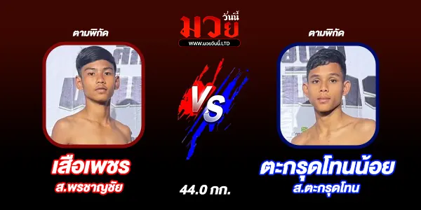 มวยวันนี้