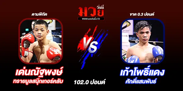 มวยวันนี้