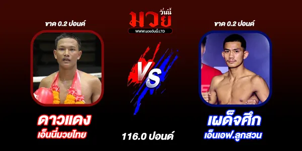 มวยวันนี้