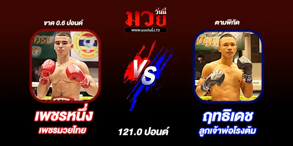 มวยวันนี้